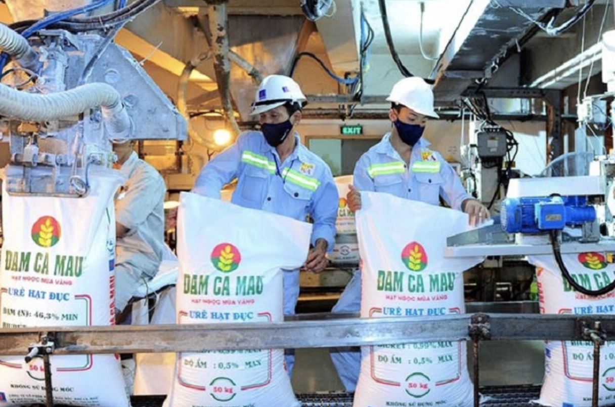 Petrovietnam muốn giữ nguyên 75,56% vốn điều lệ tại PVCFC