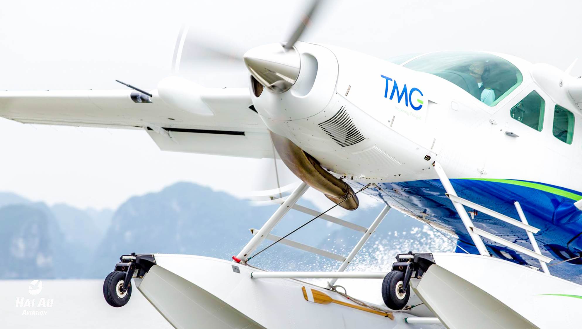 Người của Masterise làm Chủ tịch hãng hàng không Hải Âu