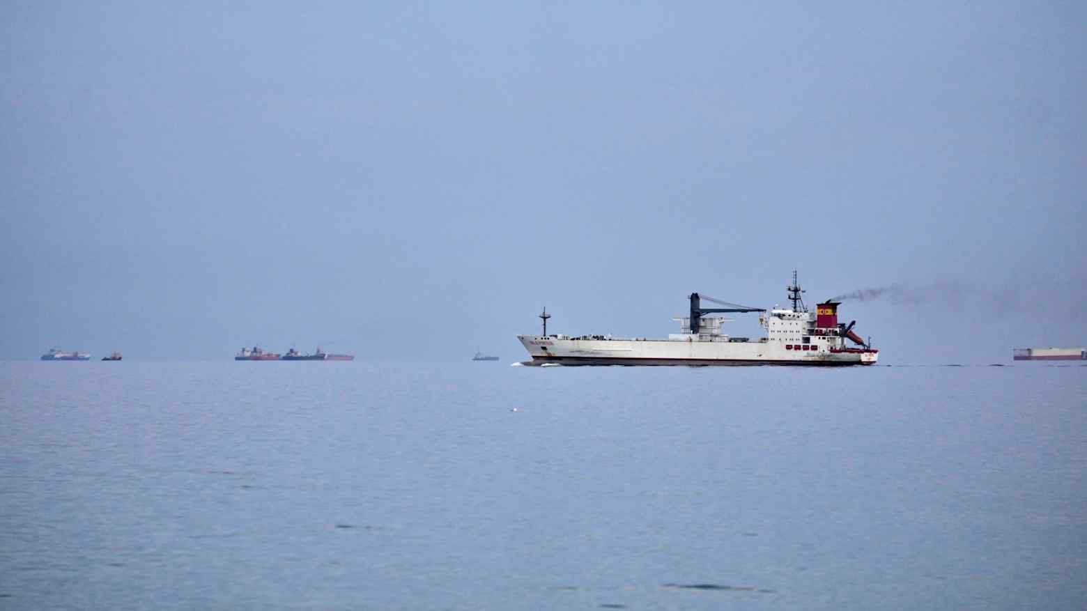 Một triệu tấn phân bón mắc kẹt ở Vùng Vịnh