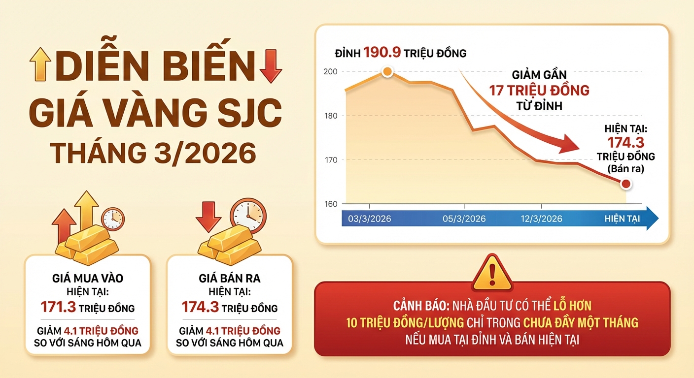 Infographic