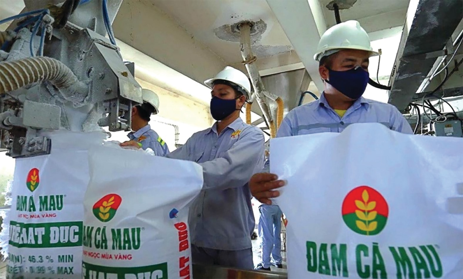Vì sao Đạm Cà Mau đặt kế hoạch lợi nhuận 2026 giảm gần 40%?