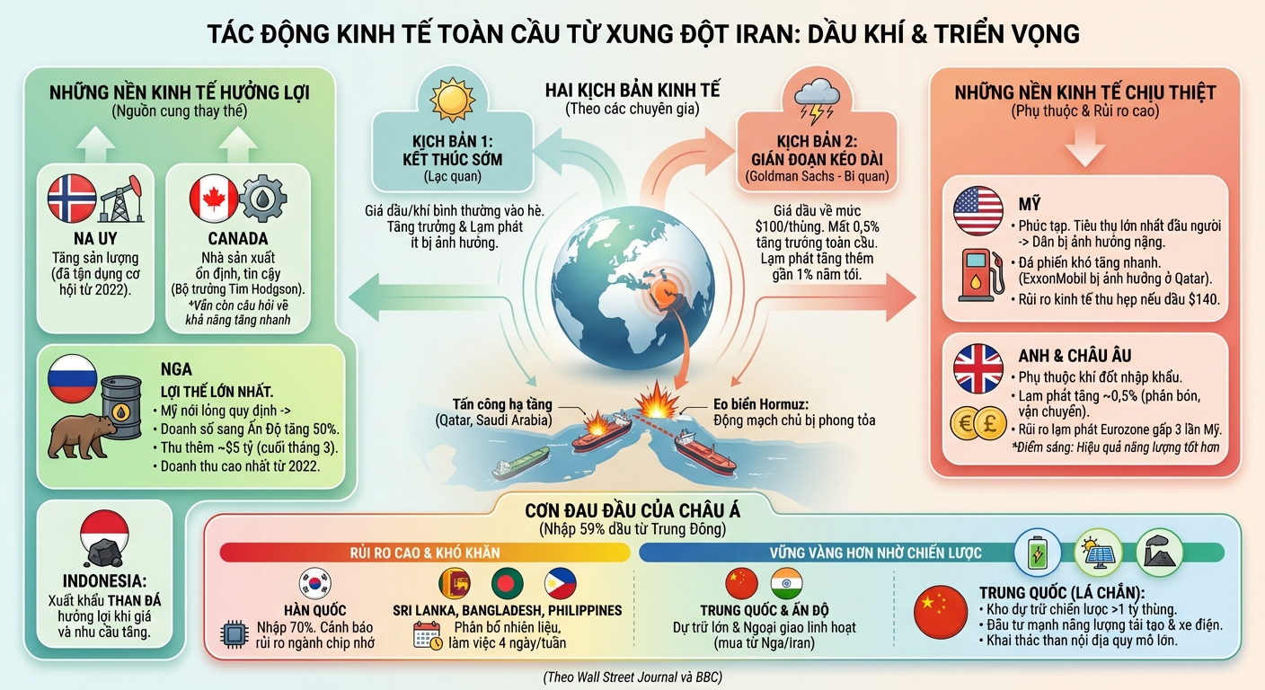 Infographic