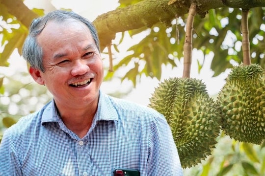 HAGL kỳ vọng lần đầu vượt mốc 4.000 tỷ đồng lợi nhuận, chia cổ tức trở lại sau hơn 1 thập kỷ