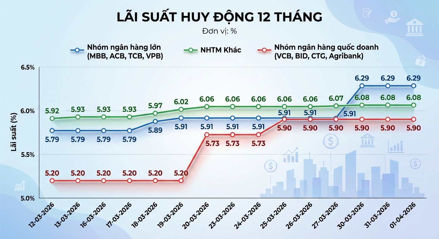 Infographic