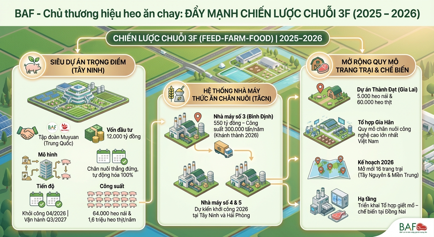Infographic