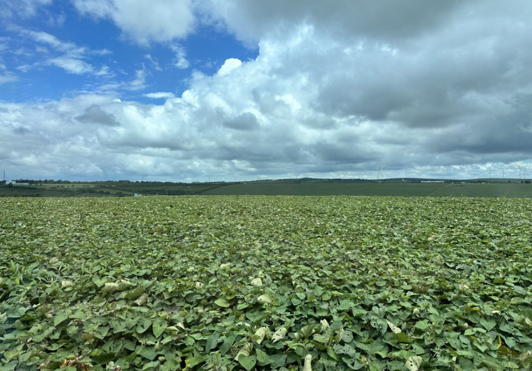 TSC đặt mục tiêu tăng trưởng doanh thu hai chữ số, chuyển từ lỗ sang lãi