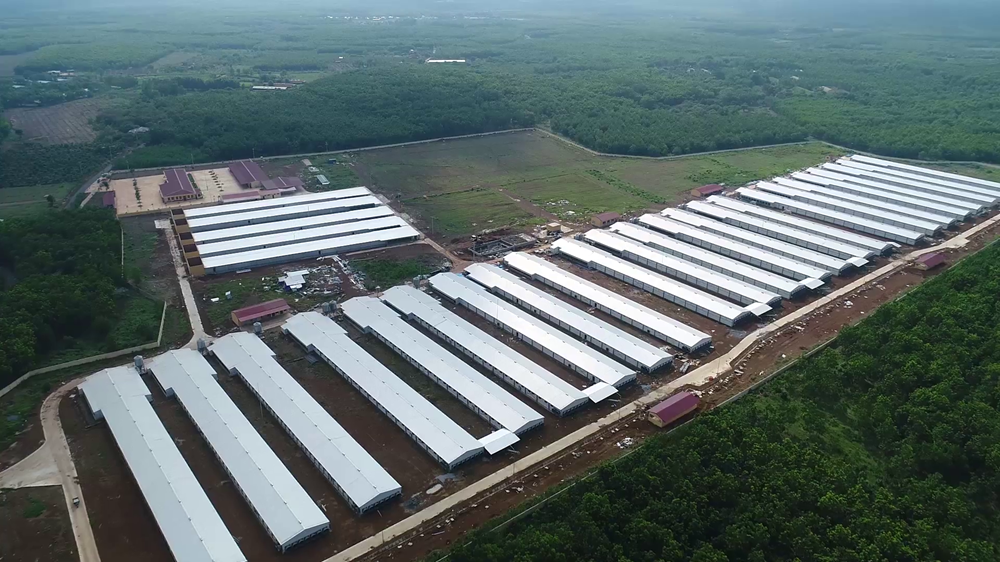 Biên lợi nhuận lao dốc, Dabaco báo lãi quý I giảm 26%