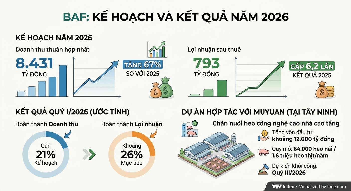 Infographic