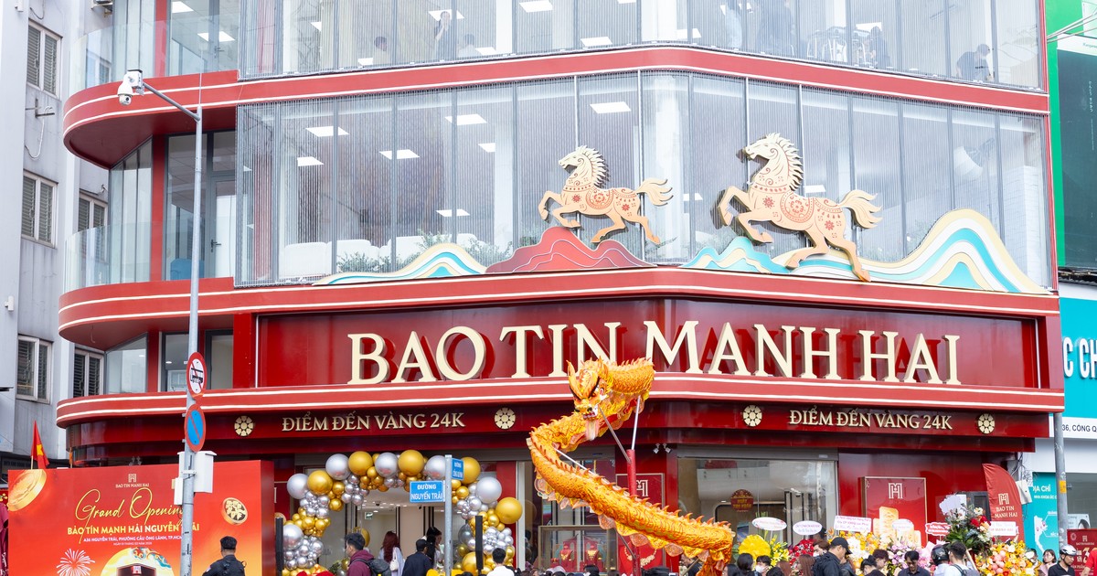 Bảo Tín Mạnh Hải muốn IPO và niêm yết HOSE cuối năm 2026