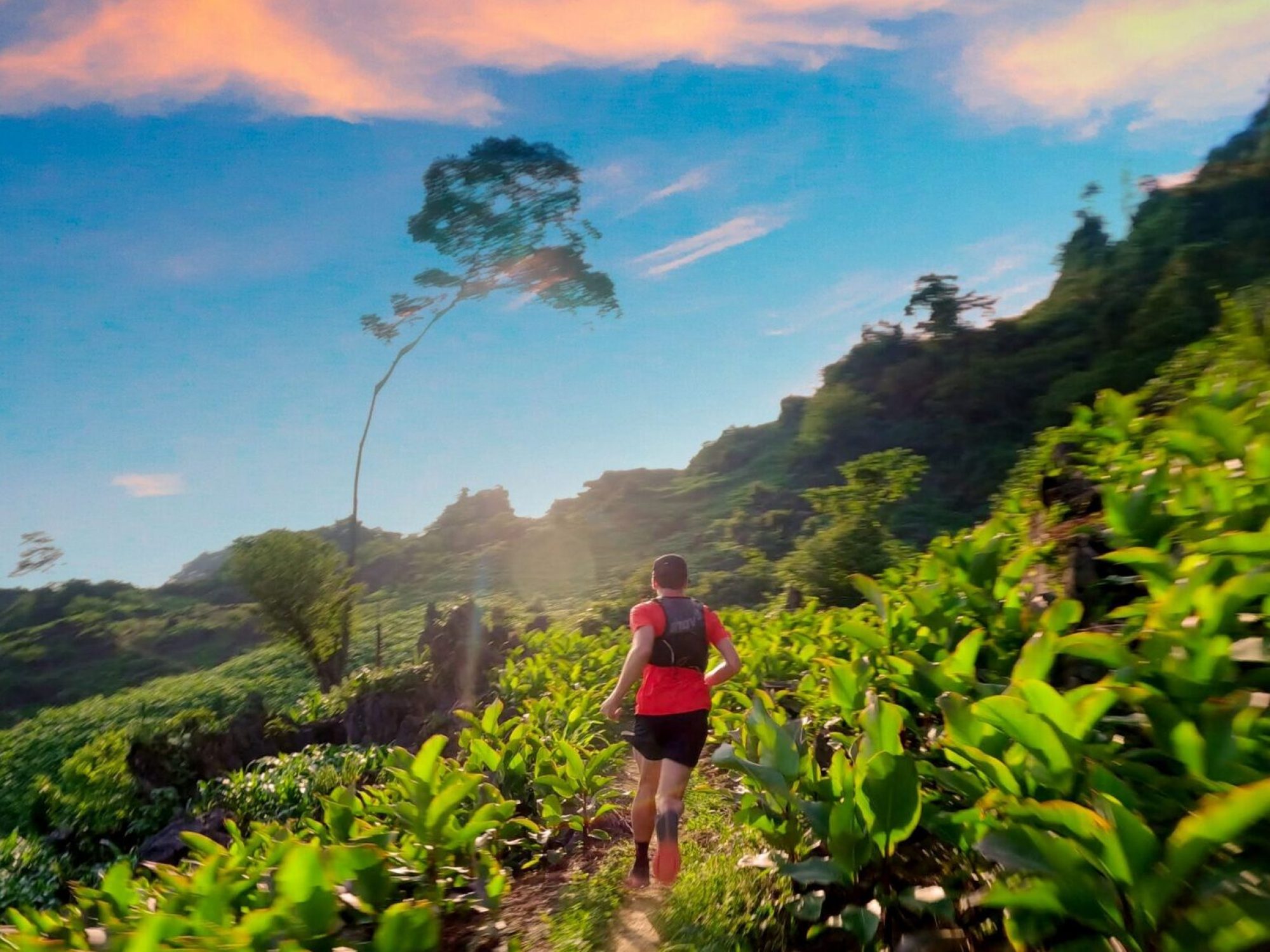 Có thật là chạy marathon và ultramarathon có thể liên quan đến ung thư đại tràng?