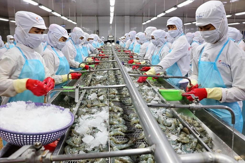 Hơn một thập kỷ không đạt kế hoạch, Minh Phú tiếp tục mục tiêu lãi nghìn tỷ đồng