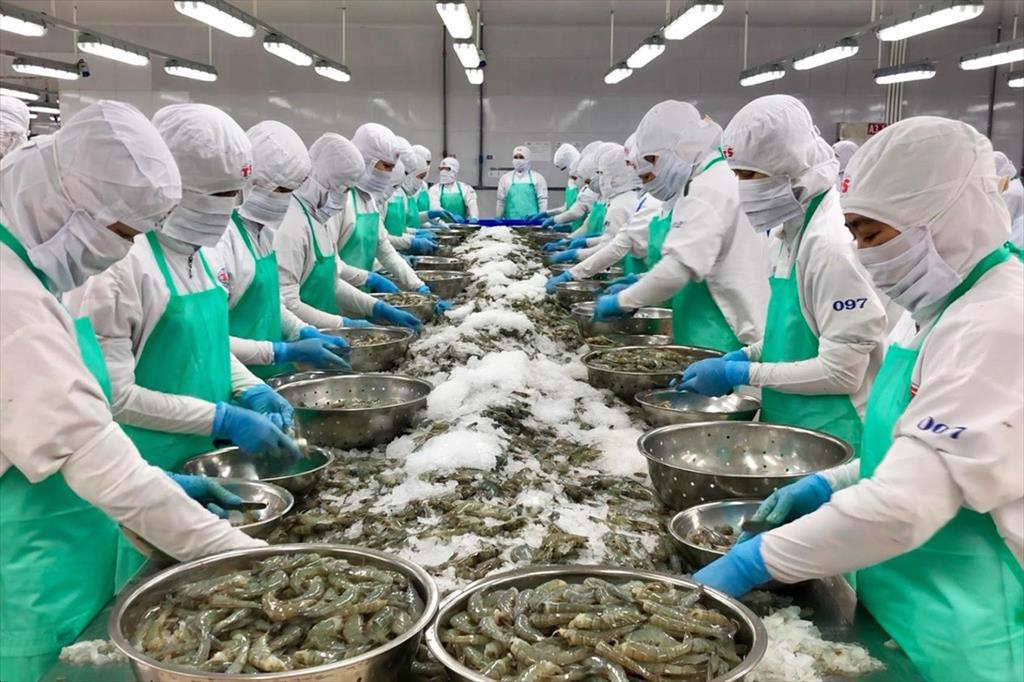 Xuất khẩu thủy sản 4,7 tỷ USD sau 5 tháng: Thị trường Trung Quốc tăng hơn 40%, Mỹ sụt giảm 10%